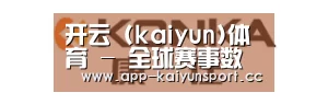 康佳