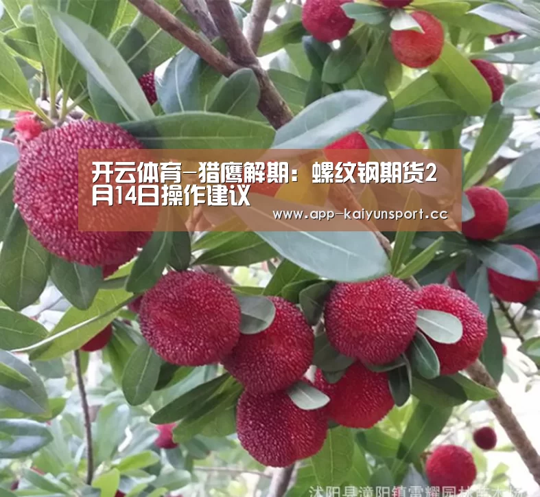 开云体育-猎鹰解期：螺纹钢期货2月14日操作建议